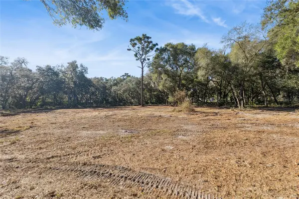 1001 LAKE HARNEY RD, Geneva, FL 32732