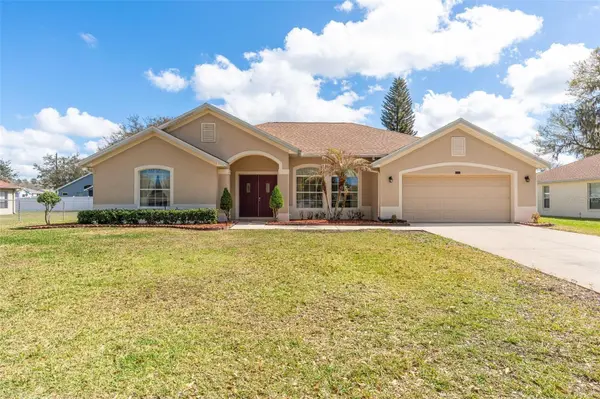 2025 S FISH CAMP RD, Grand Island, FL 32735
