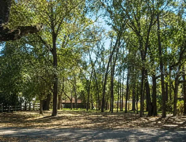 820 E MAGNOLIA DR,  Altamonte Springs,  FL 32701