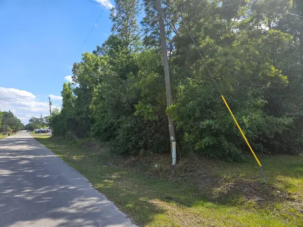 SE 89TH TER, Belleview, FL 34420