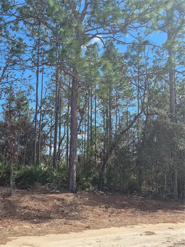 SW 56TH LN, Ocala, FL 34481