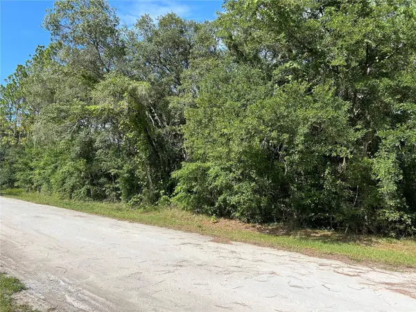 TBD SE 140 AVE, Morriston, FL 32668