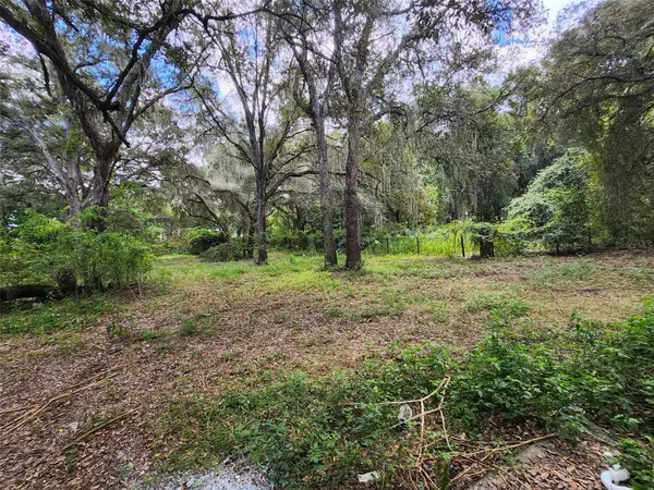 13767 NE 47TH AVE, Anthony, FL 32617