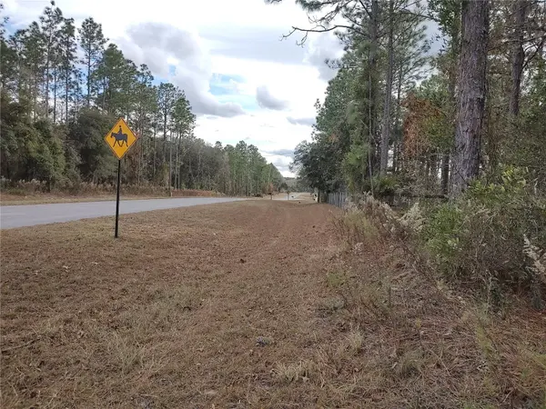 SE 120 CT,  Morriston,  FL 32668