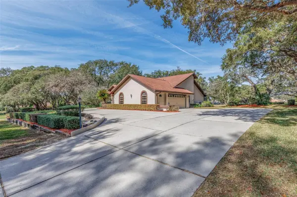 115 E IRELAND CT, Hernando, FL 34442