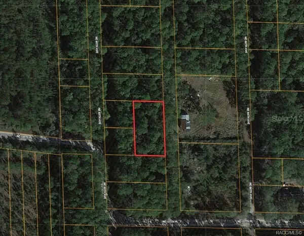 0000 NE 65TH CT, Citra, FL 32113