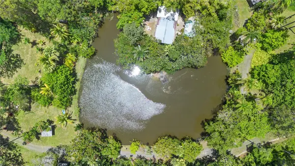 Guavate #184  BO. LAS VEGAS, Cayey, PR 00736