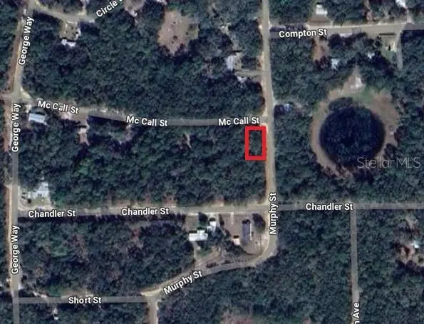 MCCALL ST, Interlachen, FL 32148