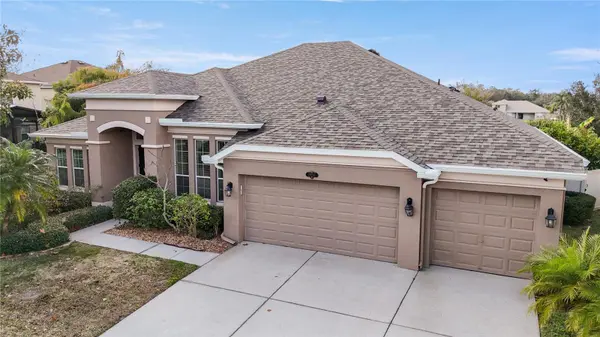 20261 RAVENS END DR, Tampa, FL 33647