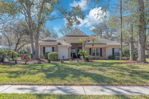 6109 KINGBIRD MANOR DR,  Lithia,  FL 33547