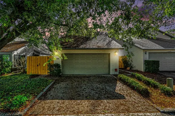 13803 LAZY OAK DR, Tampa, FL 33613