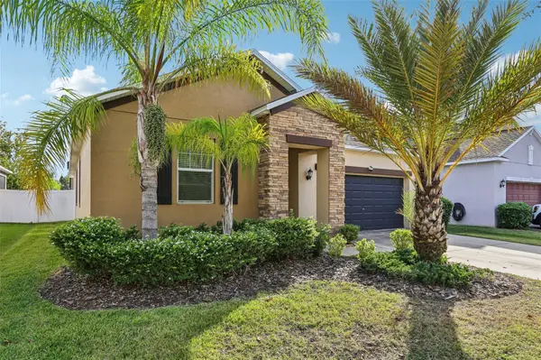 11767 WINTERSET COVE DR,  Riverview,  FL 33579