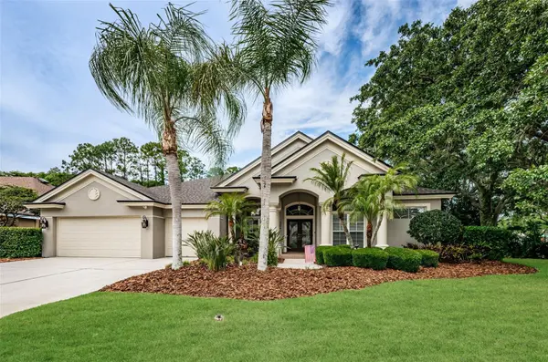 4604 AYRON TER,  Palm Harbor,  FL 34685