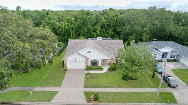 7406 MINT JULEP DR, Riverview, FL 33578