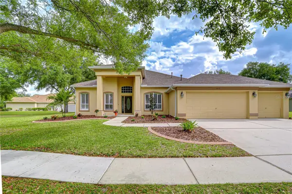 14112 CREEK RUN DR, Riverview, FL 33579