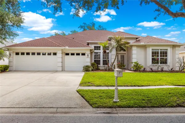 10254 SHADOW BRANCH DR, Tampa, FL 33647
