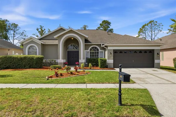 10121 KINGSHYRE WAY, Tampa, FL 33647