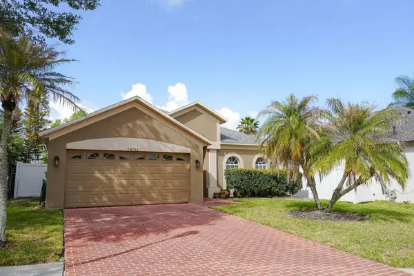 10304 BIRDWATCH DR, Tampa, FL 33647