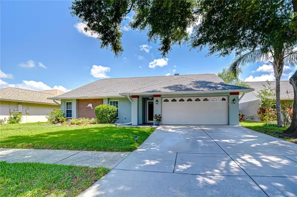 1428 SHELL FLOWER DR, Brandon, FL 33511