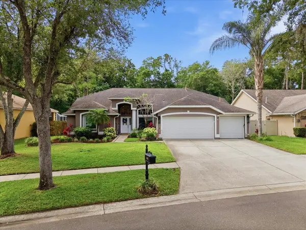 10602 CHAMBERS DR, Tampa, FL 33626