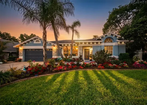 2009 RIVER PARK CT, Valrico, FL 33596