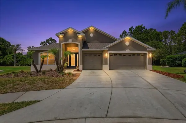 2453 ADDINGTON PL, Wesley Chapel, FL 33543