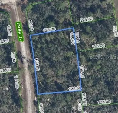 719 PACIFIC ST, Lake Placid, FL 33852