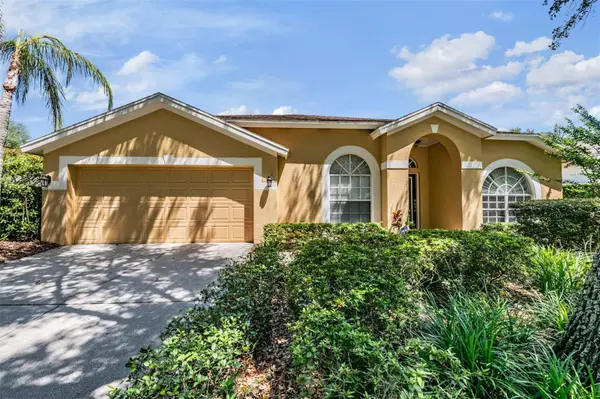 9459 HUNTERS POND DR, Tampa, FL 33647
