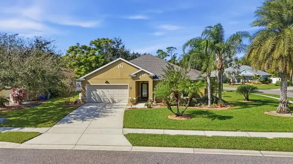 740 GRAPE IVY LN, New Smyrna Beach, FL 32168