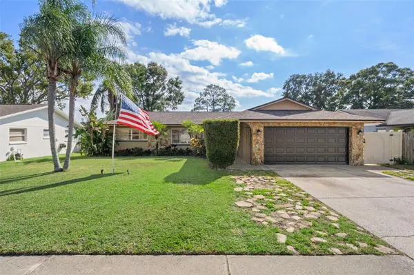 1407 GARDEN AVE, Tarpon Springs, FL 34689