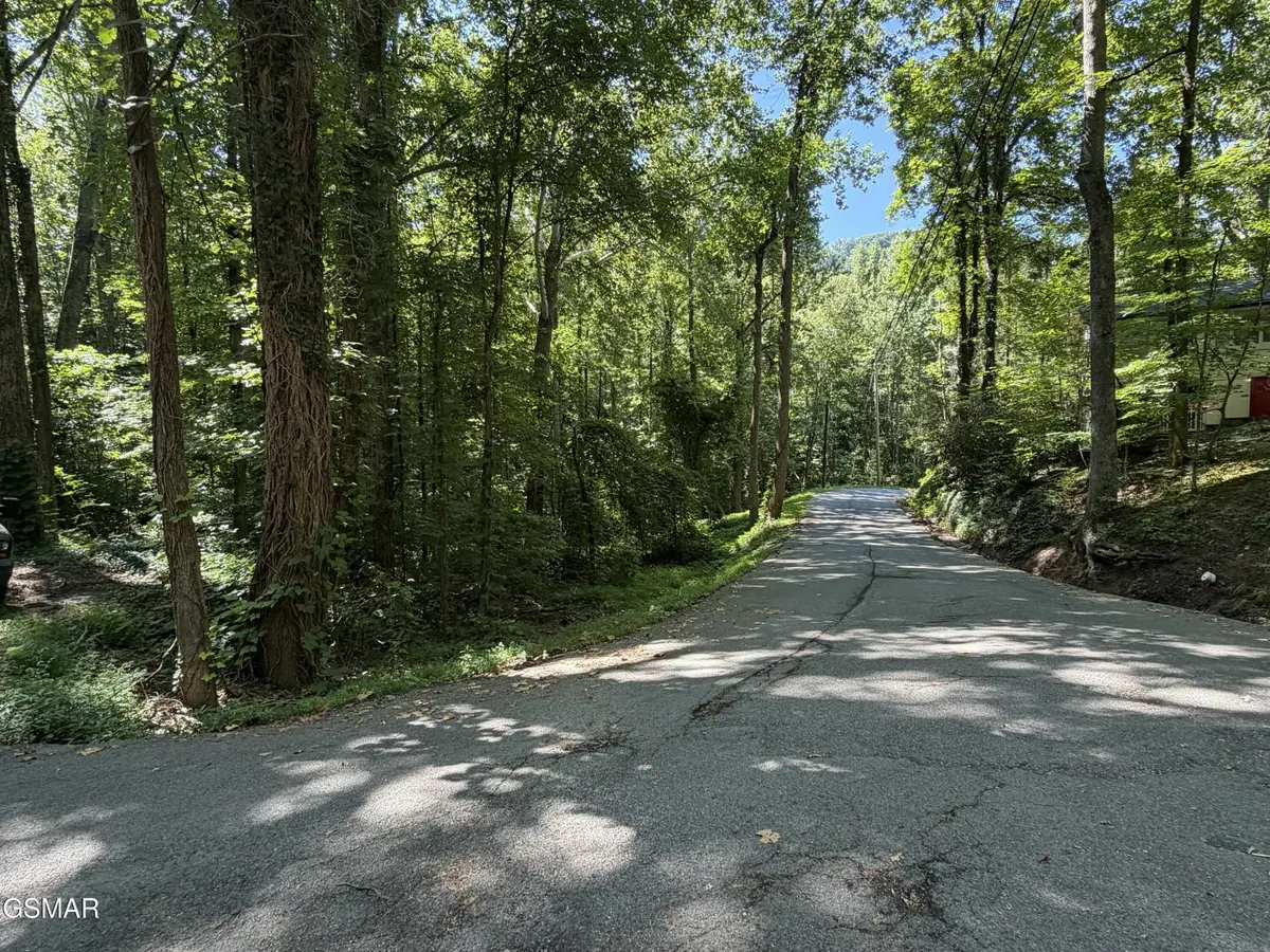 3 Low Gap Road, Gatlinburg, TN 37738