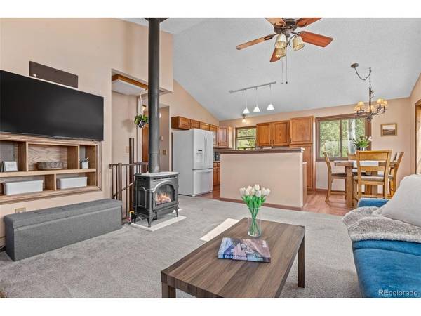 13976 Wamblee, Conifer, CO 80433