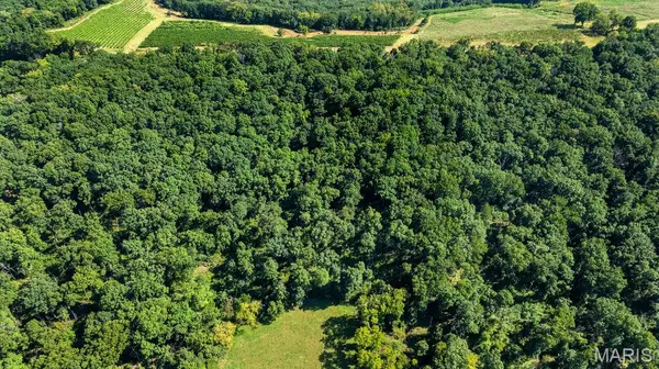 1652 Coles Creek Road, Hermann, MO 65041
