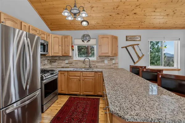304 Virginia RD, Bailey, CO 80421