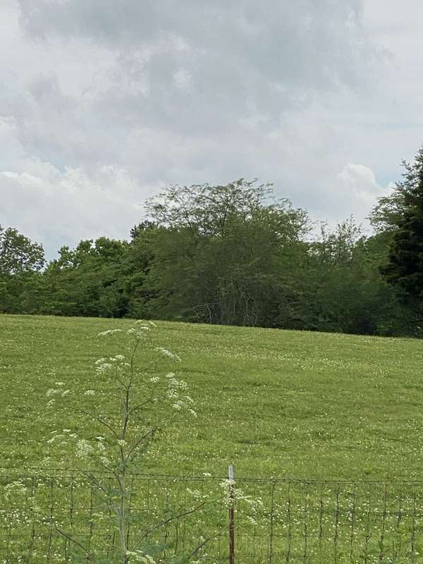 0 Murfreesboro Rd, Franklin, TN 37064