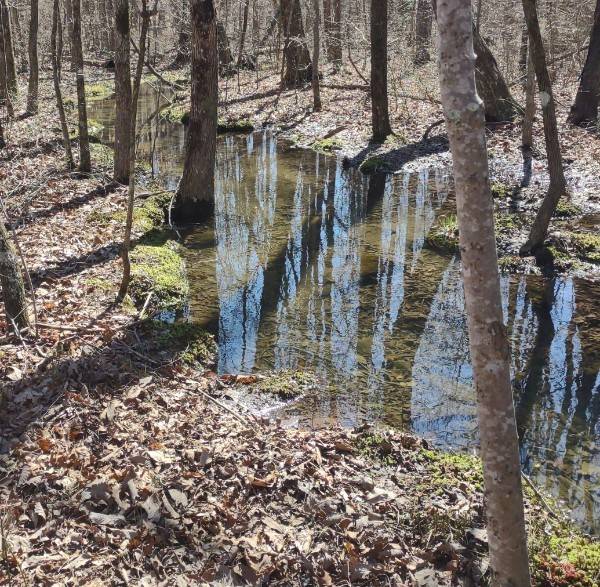 0 Deer Run Road,  Altamont,  TN 37301