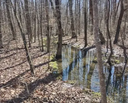 0 Deer Run Road, Altamont, TN 37301