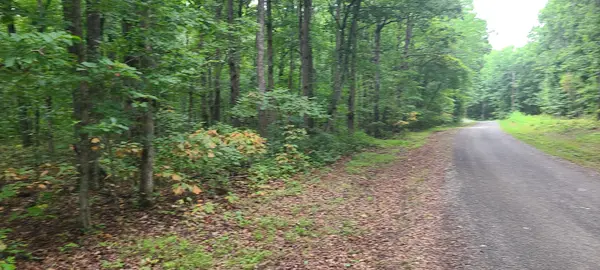 0 Deer Run Road, Altamont, TN 37301