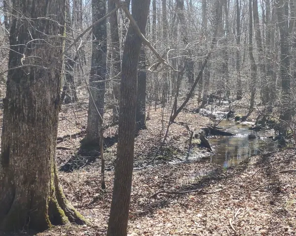 0 Deer Run Road, Altamont, TN 37301
