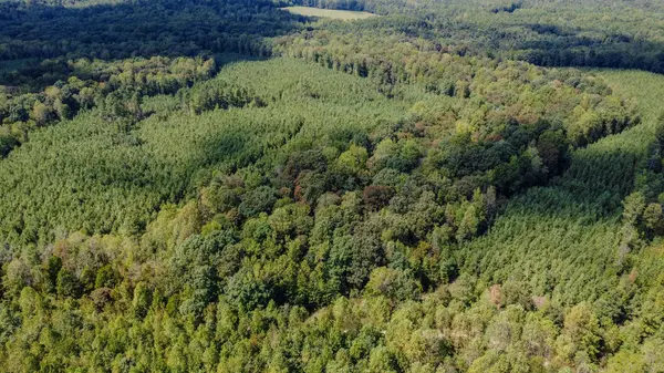 0 Haglersville Road, Henry, TN 38231