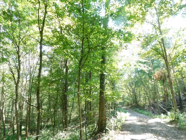 1101B HIDDEN COVE ROAD, Gallatin, TN 37066