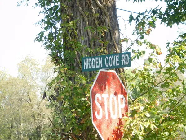 1101B HIDDEN COVE ROAD, Gallatin, TN 37066