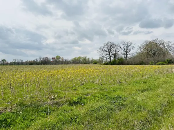 288 Dugout Road, Summertown, TN 38483