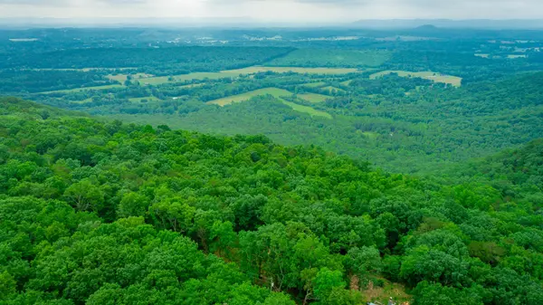 237 County Road 844, Mentone, AL 35984