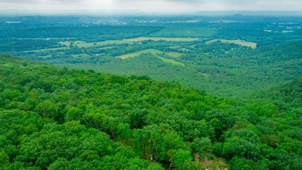 237 County Road 844, Mentone, AL 35984