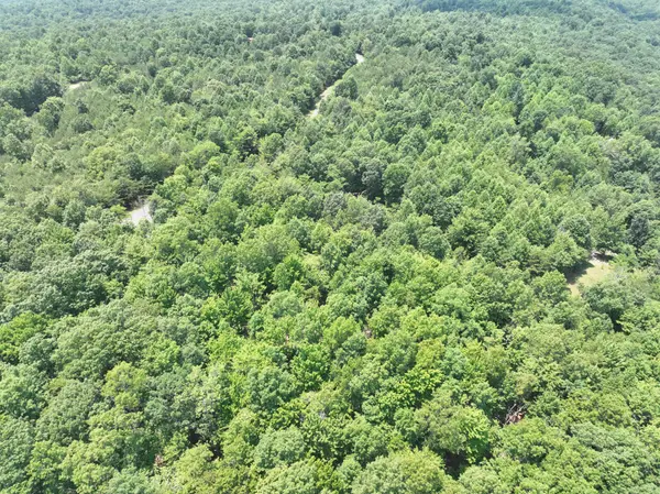 1189 Cloud Land Lane, Dunlap, TN 37327
