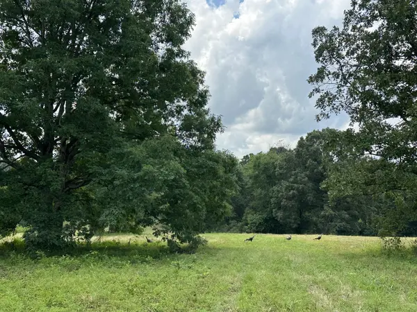 0 Darrell Rye Road, Erin, TN 37061