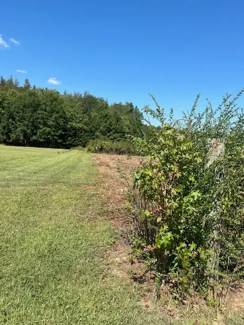 0 Lakewood Park Rd, Beechgrove, TN 37018