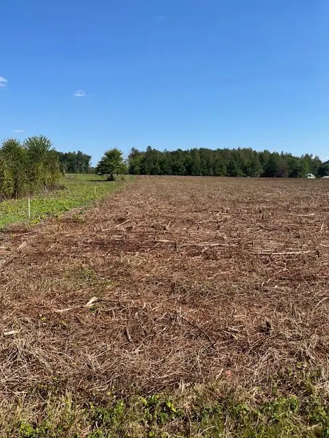 0 Lakewood Park Rd, Beechgrove, TN 37018