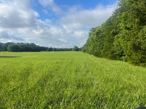 0 Clark Rd, Lewisburg, TN 37091
